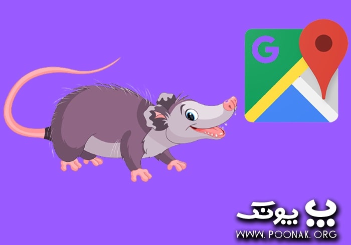 تأثیر به روزرسانی الگوریتم موش کور گوگل